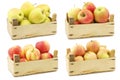 Fresh yellow apples, `Maribelle apples`,  `honey crunch` apples and cooking apples Royalty Free Stock Photo