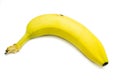 Fresh yellow banana