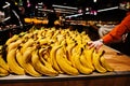 Fresh yellow bananas in the fruit supermarket