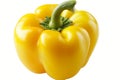 Fresh Yellow Bell Pepper Isolated