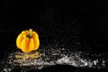 Fresh Yellow Bell Pepper With Water Splash And Bubble Isolated. Copy Space. Juicy Yellow Paprika Dropped Into Water On Black