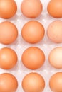 Fresh yellow chicken eggs in container Royalty Free Stock Photo