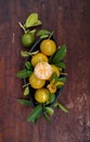 Fresh yellow color manderin fruit in dark background Royalty Free Stock Photo