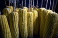 Fresh yellow corn on bamboo skewers ready to be grilled Royalty Free Stock Photo