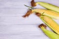 Fresh yellow corn on the cob kernels on a white wooden background. Royalty Free Stock Photo