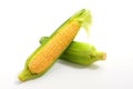 Fresh yellow corn isolated on white background. Clipping path Royalty Free Stock Photo