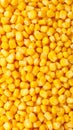 Fresh Yellow Corn Kernels Closeup Texture Food Background Royalty Free Stock Photo
