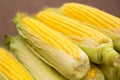 Fresh yellow corn. New crop, farmers market. Royalty Free Stock Photo