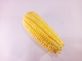 Fresh yellow corn photo closeup isolates by white bckground Royalty Free Stock Photo