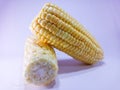 Fresh yellow corn photo closeup isolates by white bckground Royalty Free Stock Photo