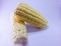 Fresh yellow corn photo closeup isolates by white bckground Royalty Free Stock Photo