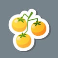 Fresh yellow crerry tomato branch sticker tasty vegetable icon healthy food concept
