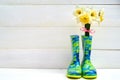 Fresh yellow daffodils in rubber boots on wooden background, copy space. Child garden wellington boots. Royalty Free Stock Photo