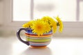 Yellow dandelion in bright cup Royalty Free Stock Photo