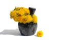 Fresh yellow dandelion flowers stand on a mortar
