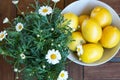 Fresh yellow lemmons