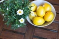 Fresh yellow lemmons