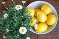 Fresh yellow lemmons