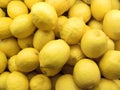 fresh yellow lemon