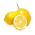 Fresh yellow lemon on a white background. Fruit illustration for your menu, banner or logo. Healthy food design. Vector Royalty Free Stock Photo