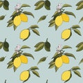 Fresh yellow lemons with flowers seamless doodle organic citrus summer fruits vector eps pattern on blue background Royalty Free Stock Photo