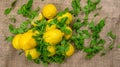 Fresh yellow lemons and green salad on a canvas Royalty Free Stock Photo