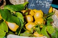 Fresh yellow lemons. Lots of fresh lemons fruits sale in supermarket. Many fresh lemons wallpaper