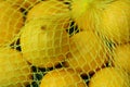 Fresh yellow lemons