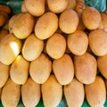 Fresh yellow mango pile texture on rustic market stall. Asian fruit market stall. Philippine mango season. Fresh fruit for sell.