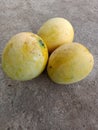 Fresh mangoes from India summer fruit