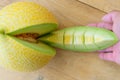 Fresh yellow melon in greenhouse