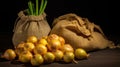 fresh yellow onions bag Royalty Free Stock Photo