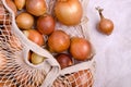 Fresh yellow onions in a knitted bag Royalty Free Stock Photo