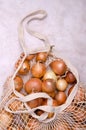 Fresh yellow onions in a knitted bag Royalty Free Stock Photo