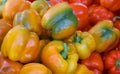 Fresh yellow, orange, green and red organic bell peppers Royalty Free Stock Photo