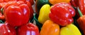 Fresh yellow, orange, green and red organic bell peppers Royalty Free Stock Photo