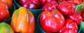 Fresh yellow, orange, green and red organic bell peppers Royalty Free Stock Photo