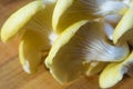Fresh yellow oyster mushrooms on a bamboo Board Royalty Free Stock Photo