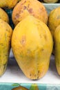Fresh yellow papaya in a market in Peru, natural look. Royalty Free Stock Photo