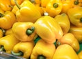 Fresh yellow paprika peppers farm harvest.