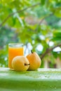 Fresh yellow pear tropic fruit summer refreshment smoothie shake Royalty Free Stock Photo