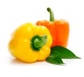 Fresh yellow pepper isolated on white Royalty Free Stock Photo