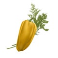 Fresh yellow pepper vegetable isolated on white background. pepper for farm market, vector illustration in Realistic style