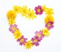 yellow pink flowers to create a flower heart sign picked in spring
