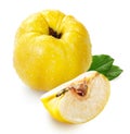 fresh yellow quince with leaf and slice isolated on white background Royalty Free Stock Photo