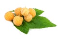 Fresh yellow raspberry on white Royalty Free Stock Photo