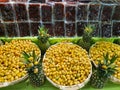 fresh yellow raw dates in package in super market, healthy fruit in diet, iron source