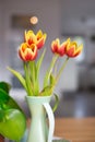 Fresh yellow and red rulips in the living room with blurred bokeh background, with copy space colorful background Royalty Free Stock Photo