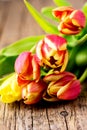 Fresh Yellow and Red Tulips on Old Wooden Background Flowers Vertical Royalty Free Stock Photo