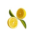 Fresh yellow ripe lemon fruits half sliced and green leaf isolated on white background, die cut with clipping path Royalty Free Stock Photo